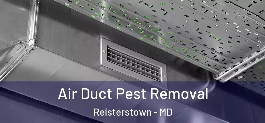  Air Duct Pest Removal Reisterstown - MD
