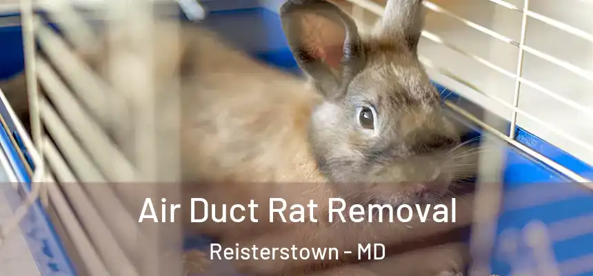 Air Duct Rat Removal Reisterstown - MD