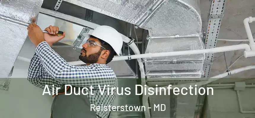Air Duct Virus Disinfection Reisterstown - MD