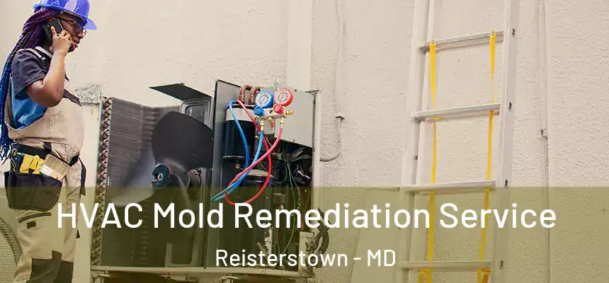 HVAC Mold Remediation Service Reisterstown - MD