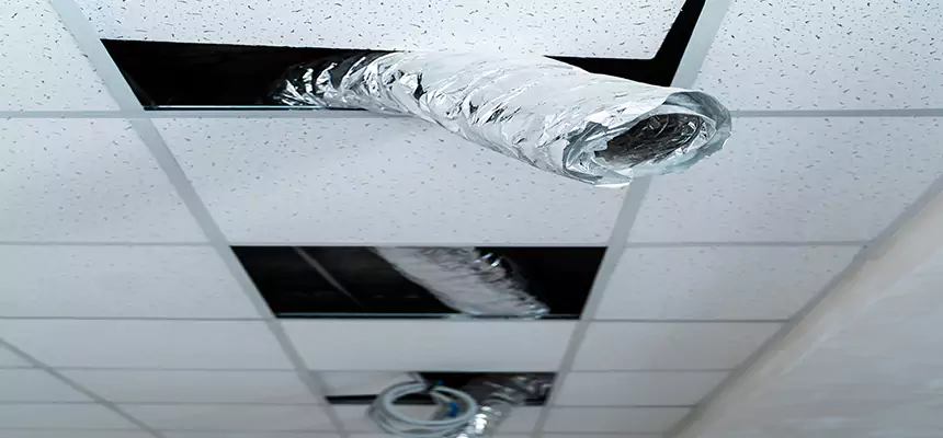 Our Air Duct Pet Hair Removal Services in Reisterstown, MD