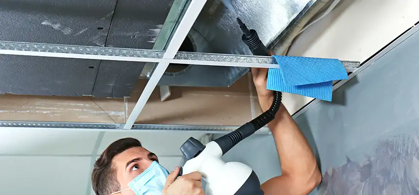 Our Air Duct Rodent Removal Services in Reisterstown, MD