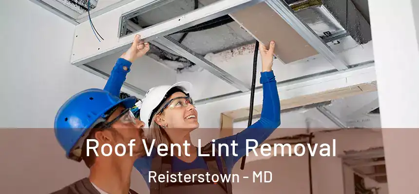 Roof Vent Lint Removal Reisterstown - MD
