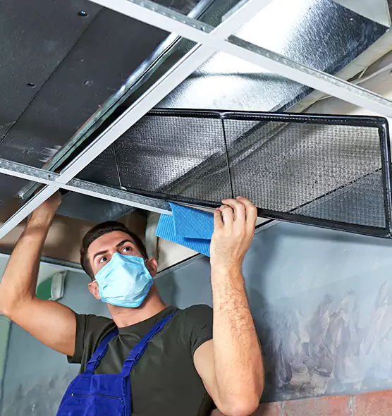 Professional Air Duct Pollen Cleaning in Reisterstown, MD