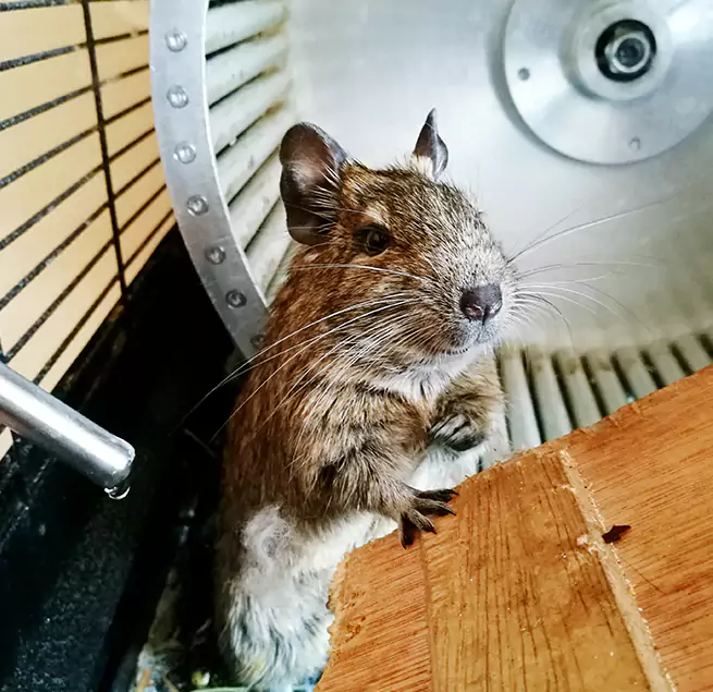 Why Homeowners & Businesses Trust Us Reisterstown, MD?