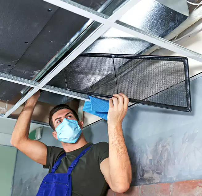 Why Homeowners Businesses Trust Us in Reisterstown, MD