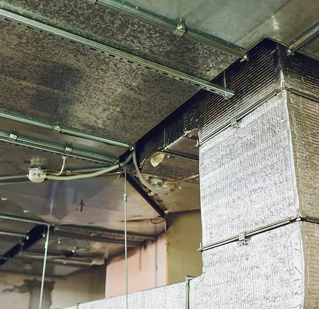 Why Homeowners & Businesses Trust Us in Reisterstown, MD?